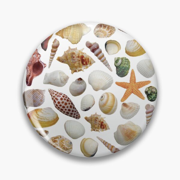 Item preview, The sea shell collector designed and sold by danastuff.
