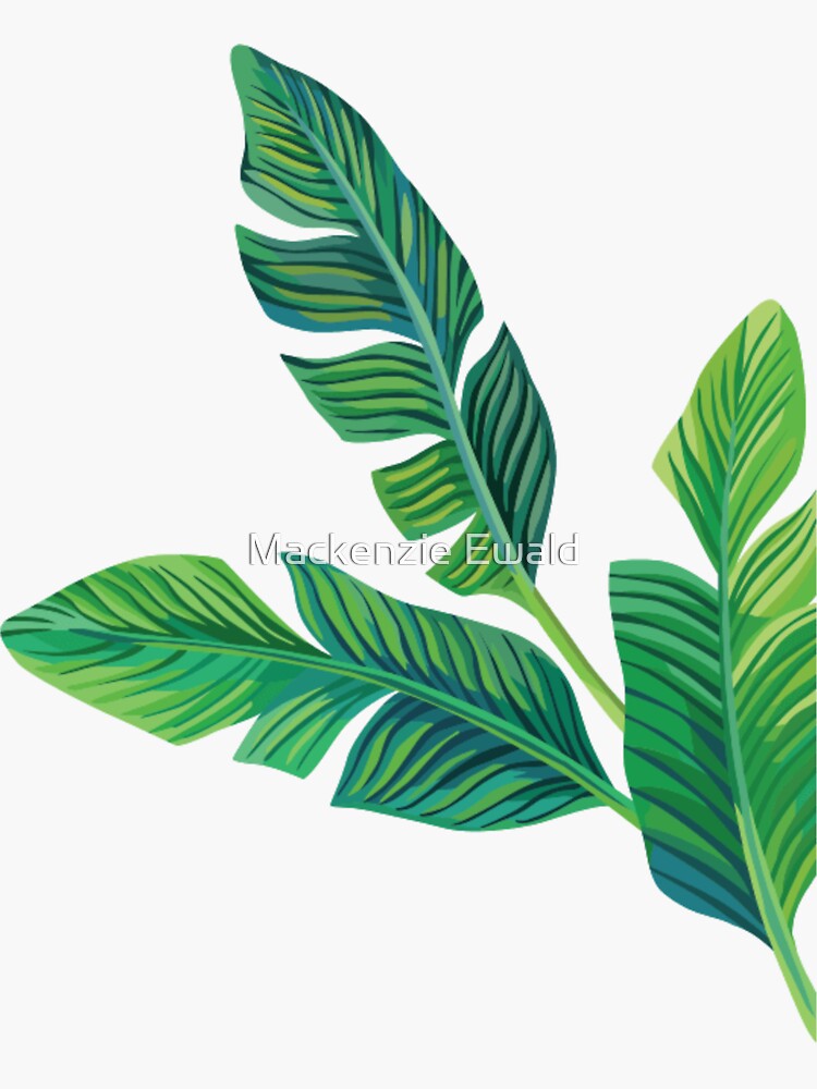 "Aesthetic Leaf Sticker" Sticker by mackenzieewald Redbubble