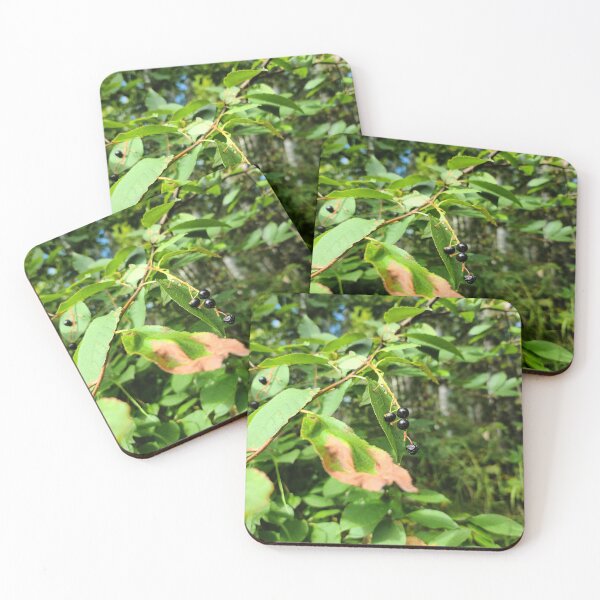 Item preview, Bird cherry designed and sold by Darkling-Rhymes.