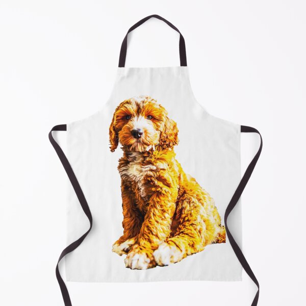 Artikelvorschau, Roter Cockapoo-Welpe entworfen und verkauft von Paul Thompson Photography.
