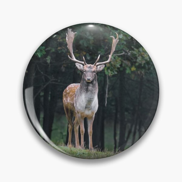 Item preview, Fallow Deer designed and sold by DoodleDashCollective.