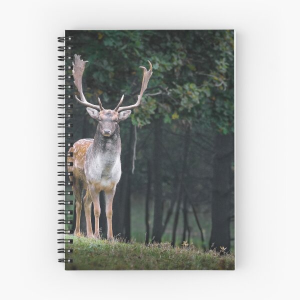 Item preview, Fallow Deer designed and sold by DoodleDashCollective.