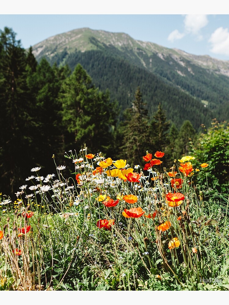 Mountain garden by Hudolin