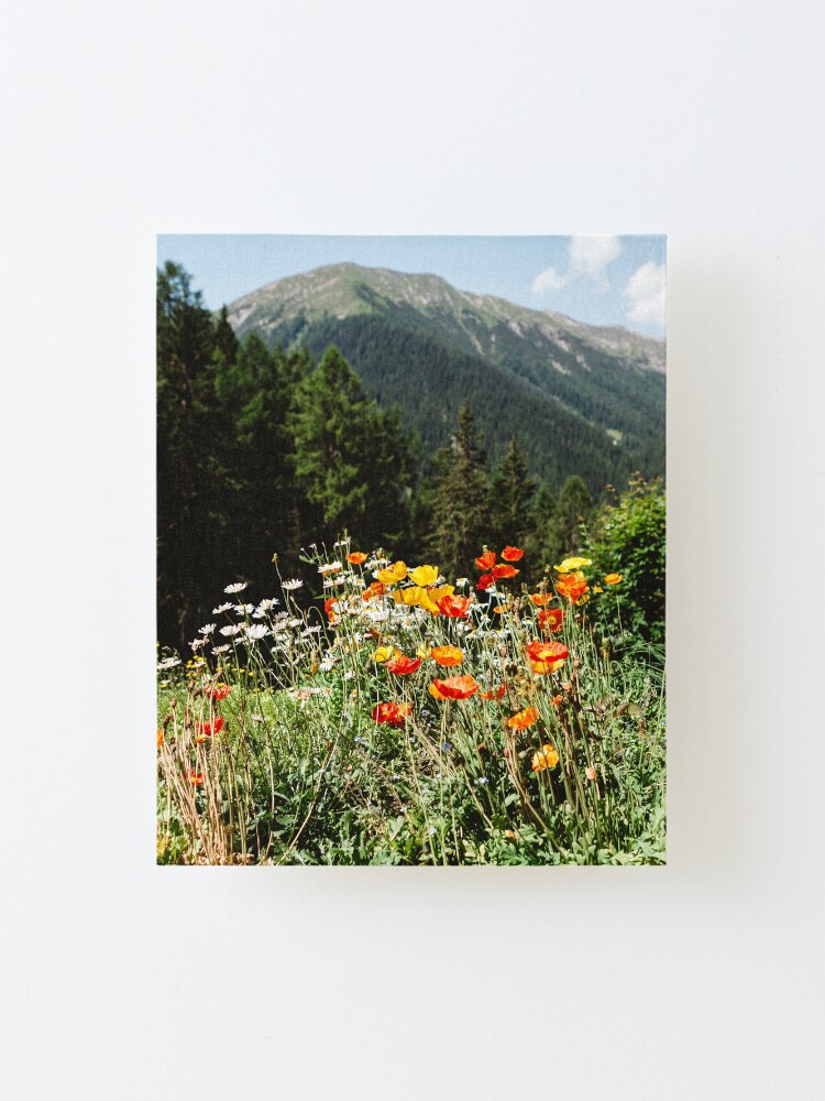 Alternate view of Mountain garden Mounted Print