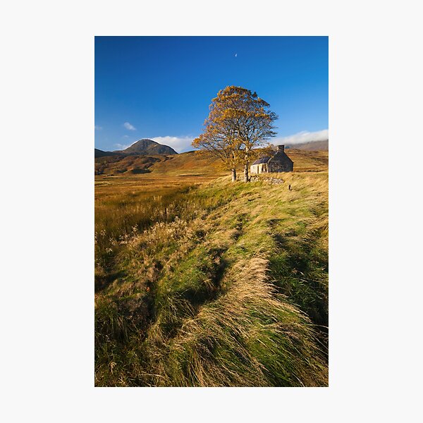 Item preview, Tree and house (Loch Loyal) designed and sold by bitm2007.