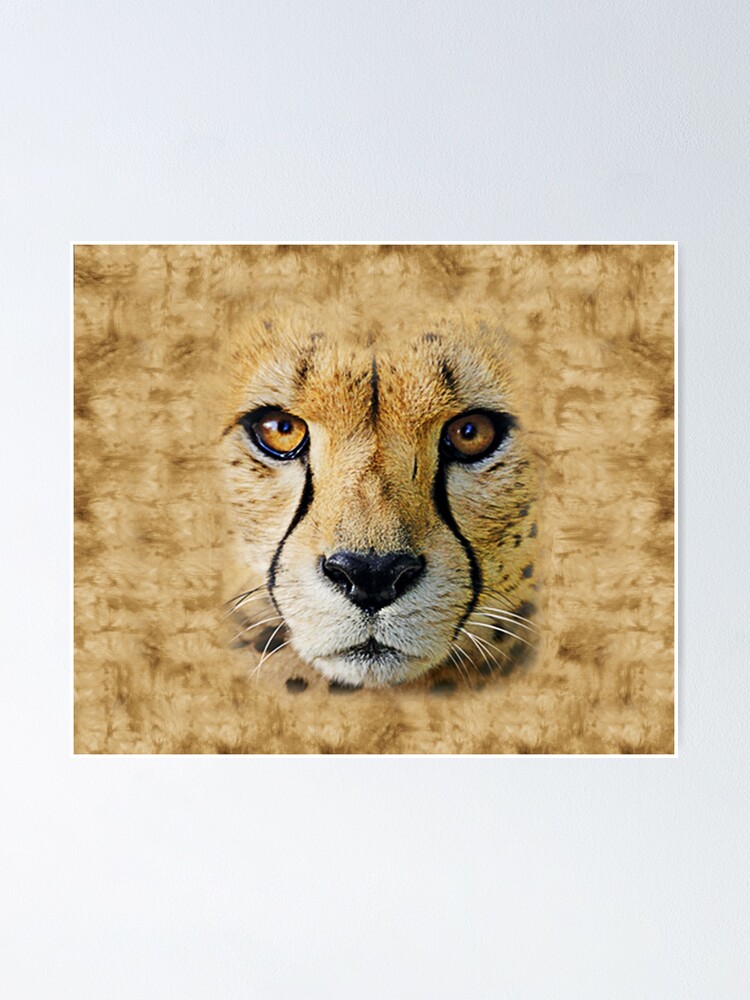 cheetah 3d texture
