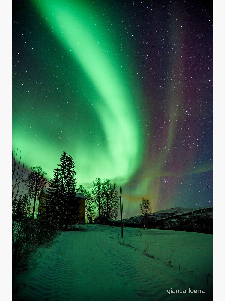 Northern Lights - Norway (Storteinnes) by giancarloerra