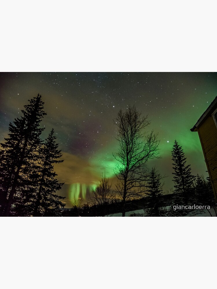 Northern Lights - Norway (Storteinnes) by giancarloerra