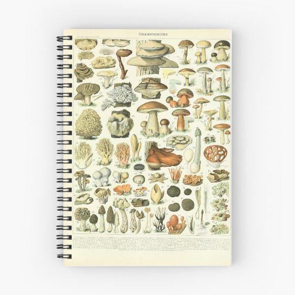 Item preview, Vintage Mushroom Science Print designed and sold by SFTStudio.