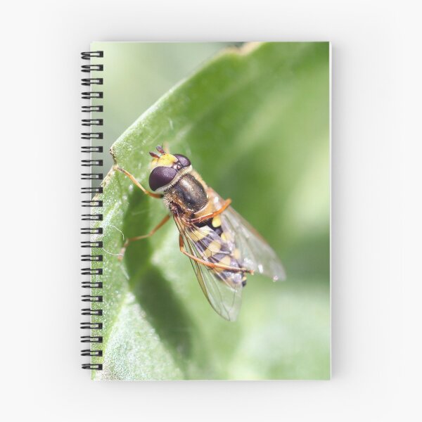 Item preview, Circus hoverfly designed and sold by GreyFeatherPhot.