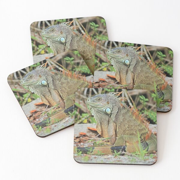 Item preview, Iguana on the Island III designed and sold by Michiale.