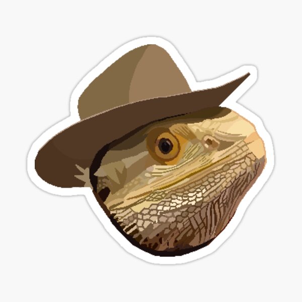 lizard cowboy