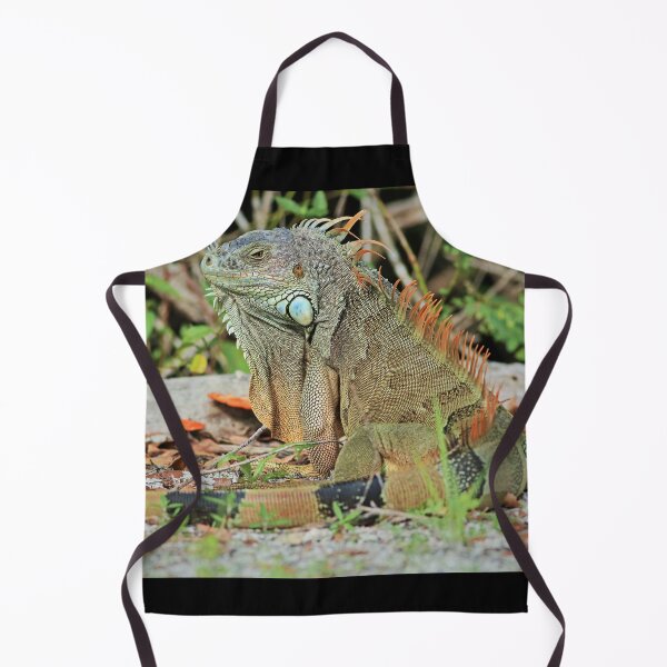 Item preview, Iguana on the Island III designed and sold by Michiale.
