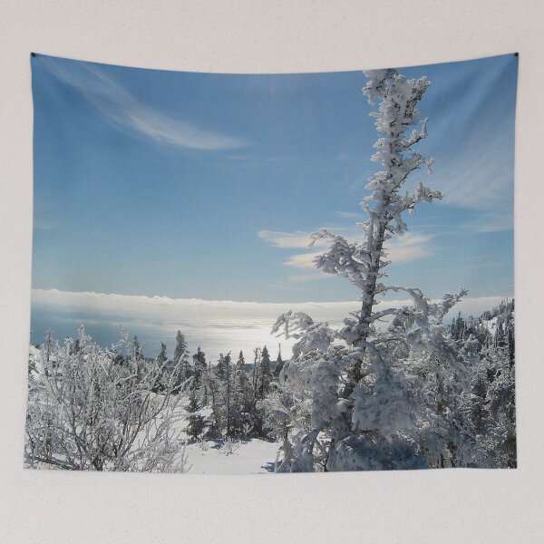 Item preview, Winter in Acadia designed and sold by Dubage603.