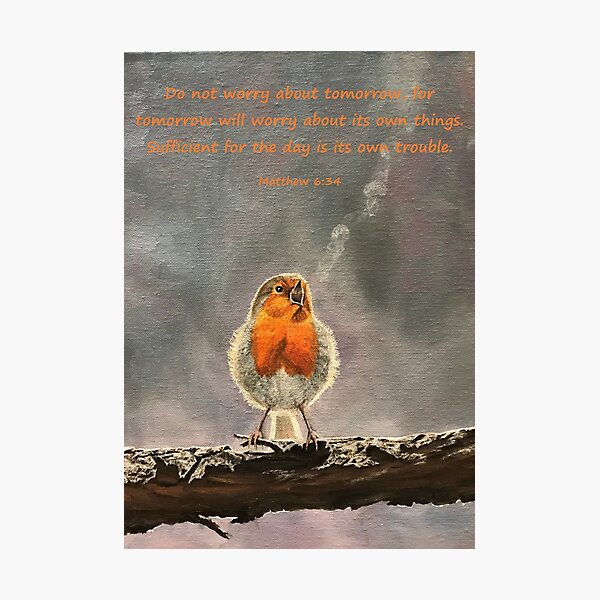 The Beauty of Birdsong - Matthew 6:34 Photographic Print