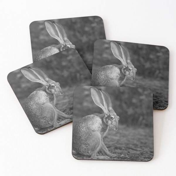 Item preview, Bashful designed and sold by Sue  Cullumber.