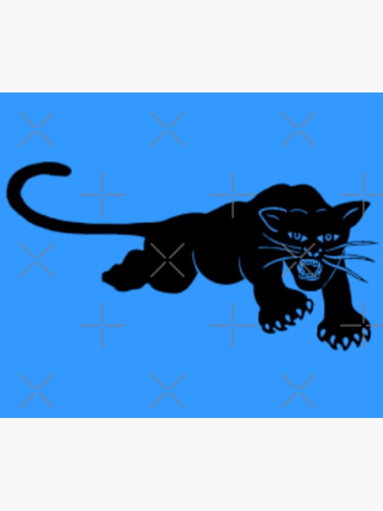 black panther party flag