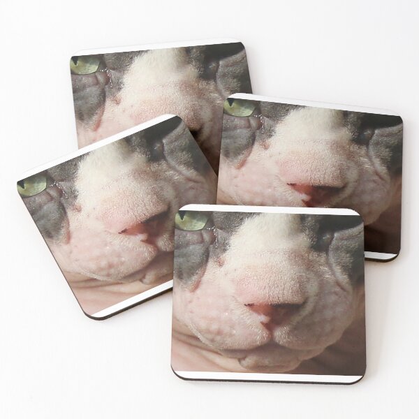Item preview, Hairless Cat Nose designed and sold by nekodokai1.