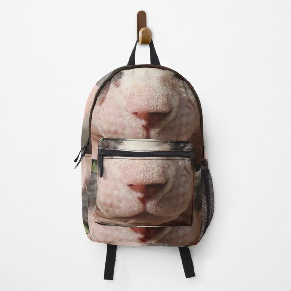 Item preview, Hairless Cat Nose designed and sold by nekodokai1.