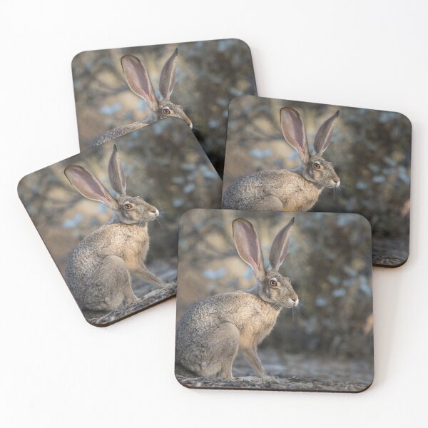 Item preview, Wild Jack designed and sold by Sue  Cullumber.