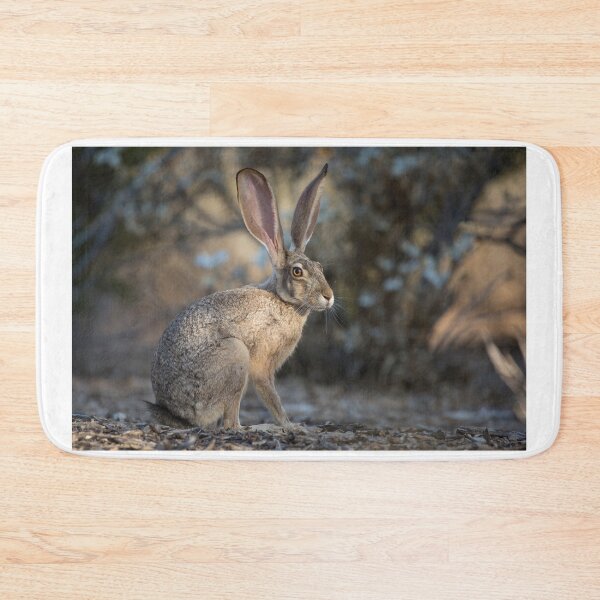 Item preview, Wild Jack designed and sold by Sue  Cullumber.