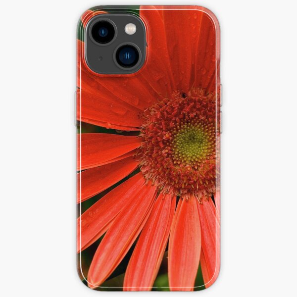 iPhone 14 - Soft