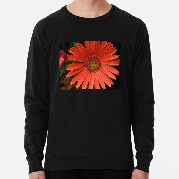 Lightweight Sweatshirt