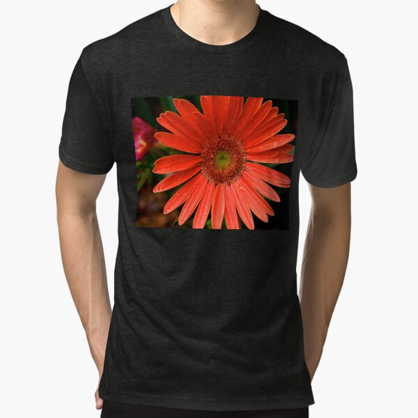 Tri-blend T-Shirt