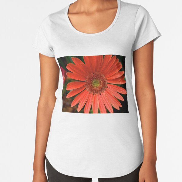 Premium Scoop T-Shirt