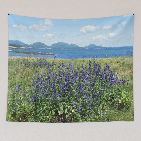 Item preview,  Mount Desert Island, Maine designed and sold by Dubage603.