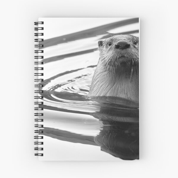 Artikelvorschau, Otter im Wasser entworfen und verkauft von Sue  Cullumber.
