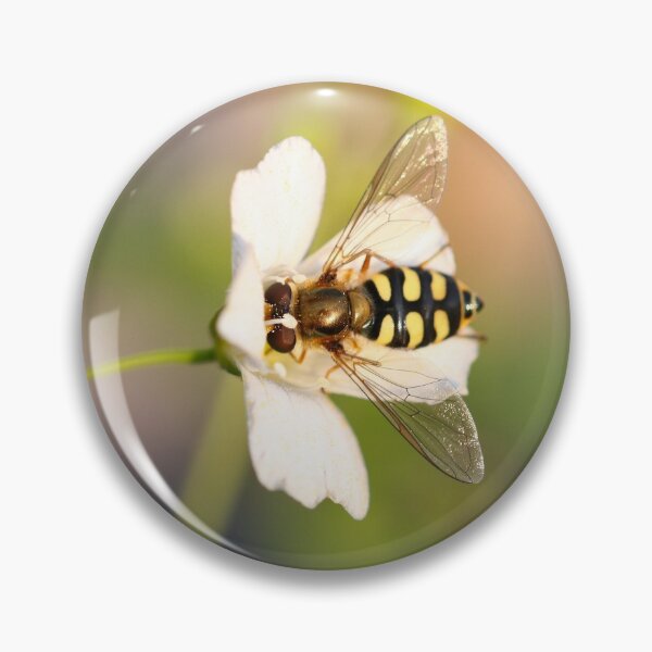 Item preview, Pollination designed and sold by GreyFeatherPhot.
