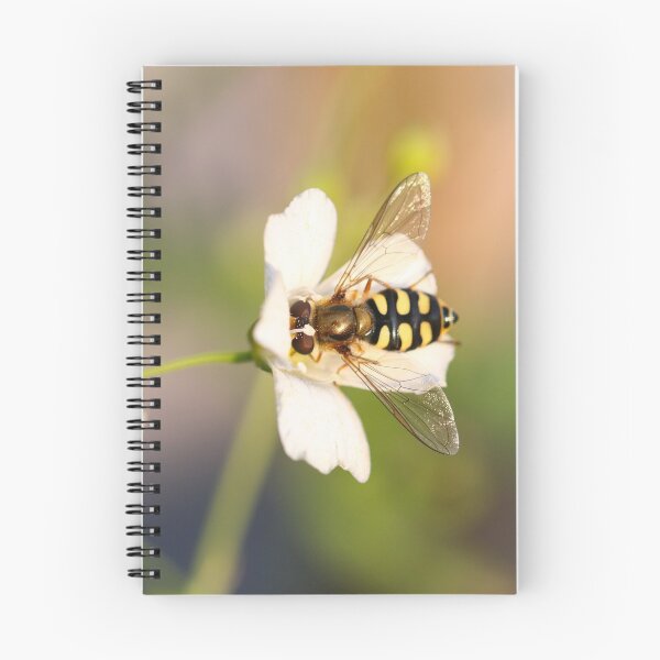 Item preview, Pollination designed and sold by GreyFeatherPhot.