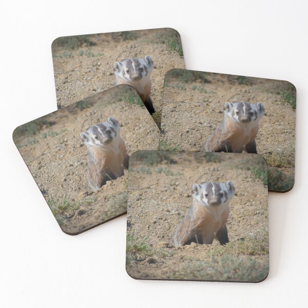 Item preview, Curious American Badger designed and sold by Carissa Turner.