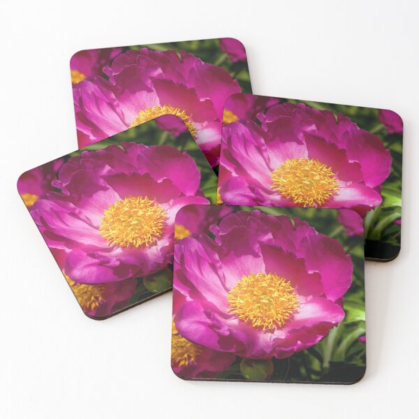Item preview, Pink Peonies designed and sold by Susan Rydberg.
