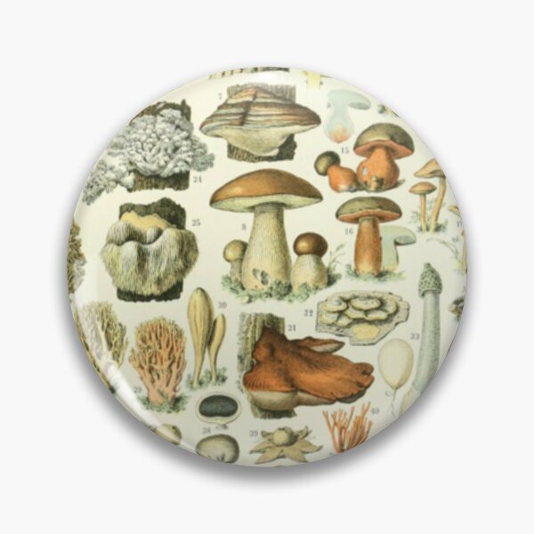 Item preview, Wild Mushroom Chart designed and sold by BlueSpecsStudio.