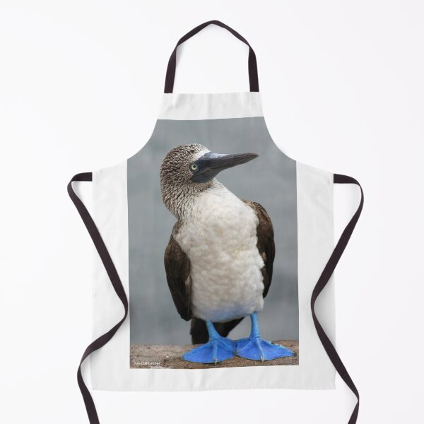 Item preview, Blue Footed Booby designed and sold by Sue Cullumber.