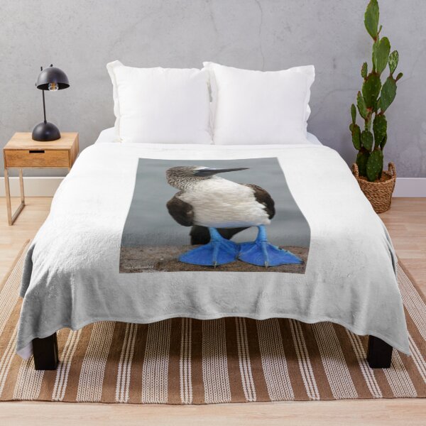 Item preview, Blue Footed Booby designed and sold by Sue Cullumber.