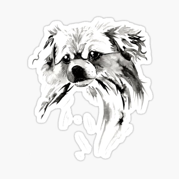 Beautiful Tibetan Spaniel Black and White Design Sticker