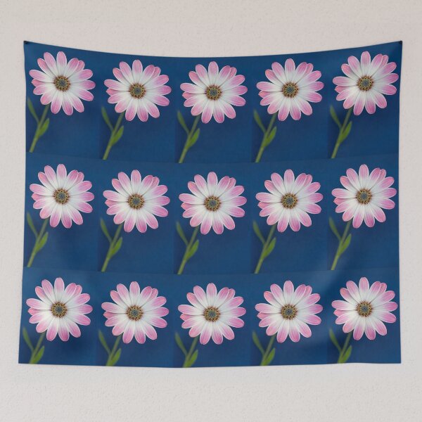 Item preview,  Osteospermum in bloom. designed and sold by John Ray.