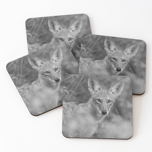 Item preview, Coyote Strong designed and sold by Sue  Cullumber.