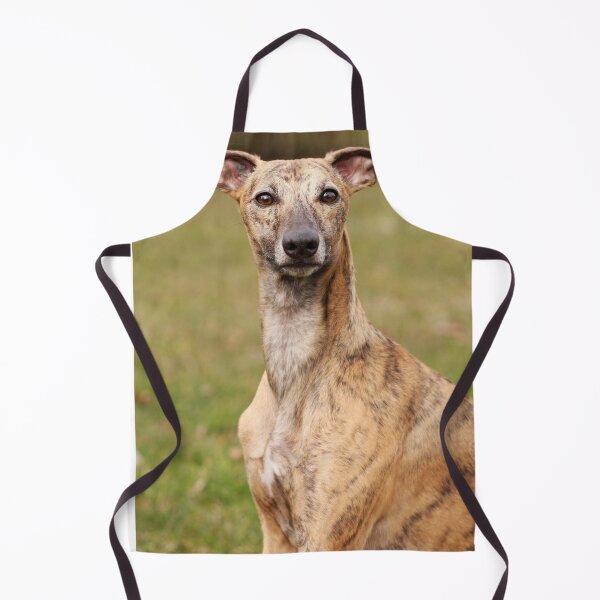 Item preview, Whippet, A Rare Breed. designed and sold by Designs By Creation.