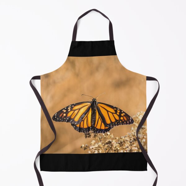 Item preview, Viceroy butterfly with wings spanned perched on dried flowers designed and sold by Rabbitti.