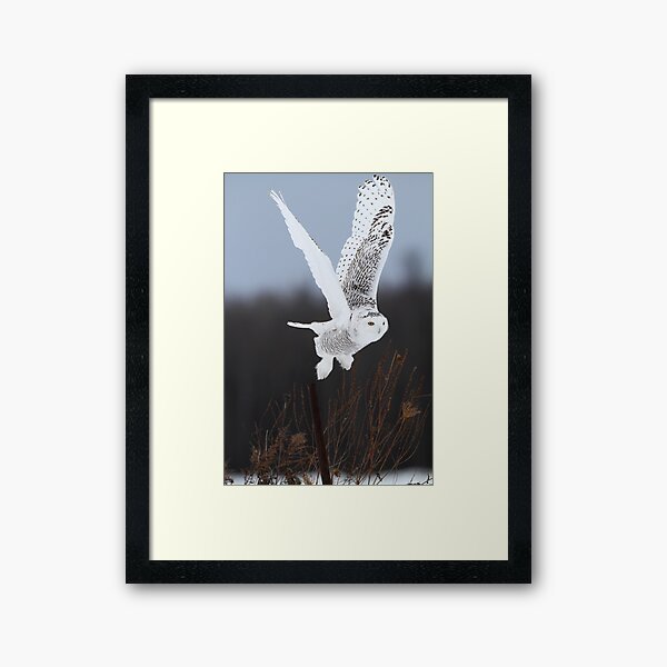 Item preview, Exit Strategy designed and sold by Gary Fairhead.