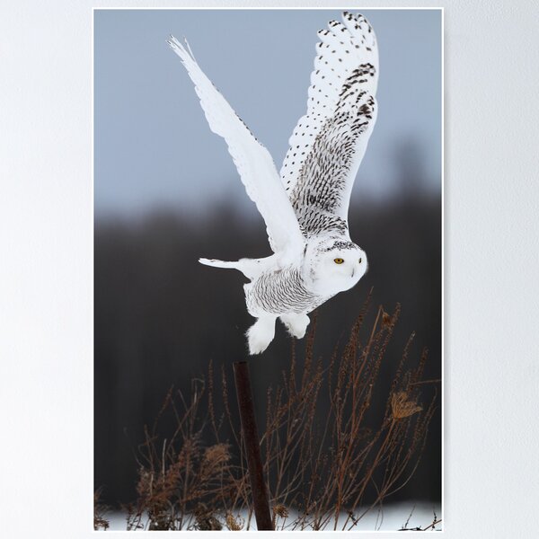 Item preview, Exit Strategy designed and sold by Gary Fairhead.