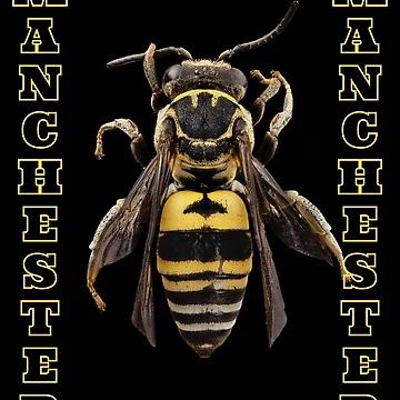 Artwork thumbnail, Manchester Bee by DesignsofNote