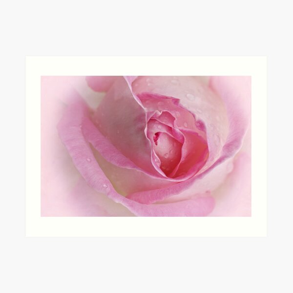 Inner Reflections .... Art Print