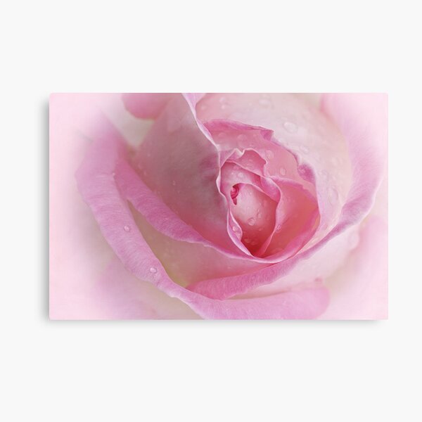 Inner Reflections .... Metal Print