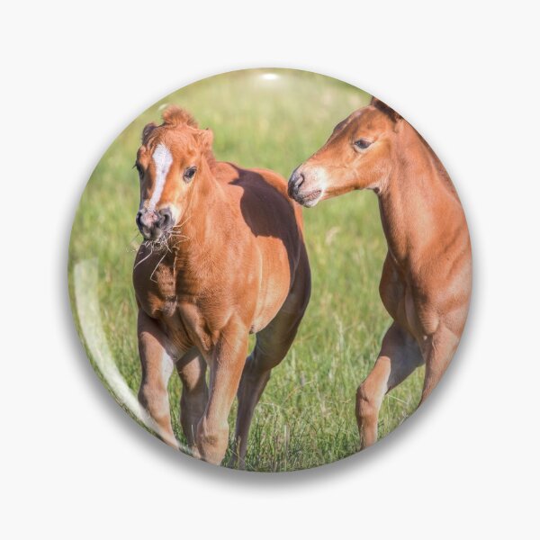 Item preview, Foals Playing 01058 designed and sold by Kristina Rinell.