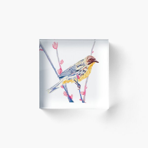 Saturated Bird Acrylic Block